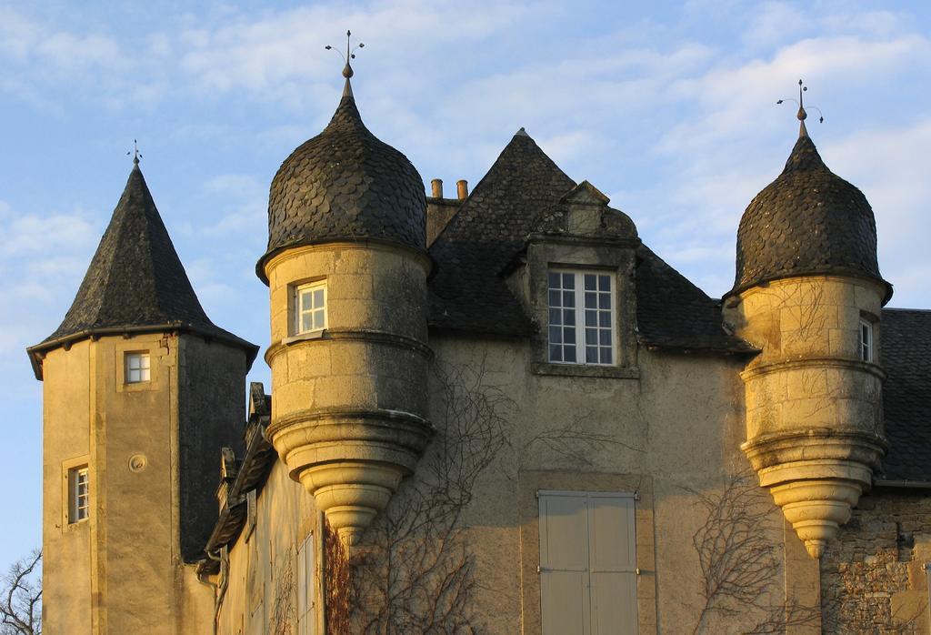 Chateau De Labro - Teritoria Onet-le-Château Exterior foto